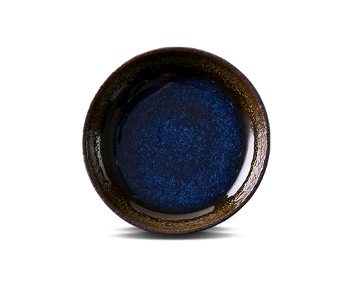 Dish